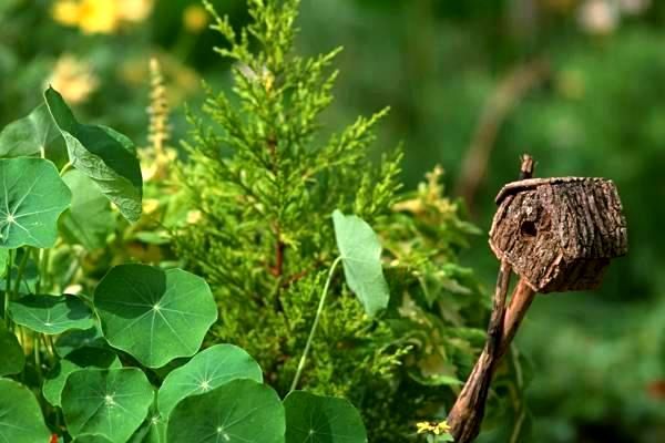 央媒聚焦：网络游戏行业迎政策新风，机构助力建设规范化生态